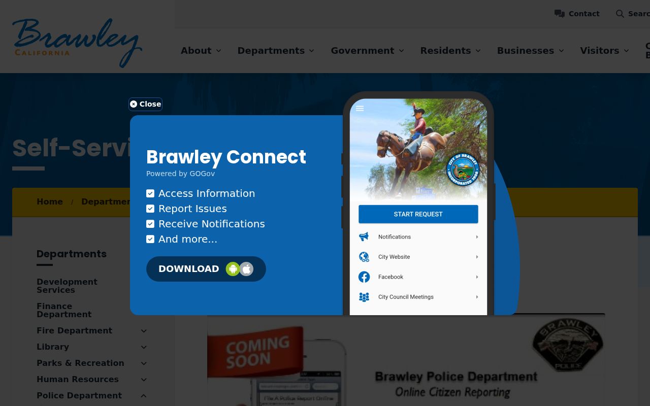 Brawley Police self-service information request webpage